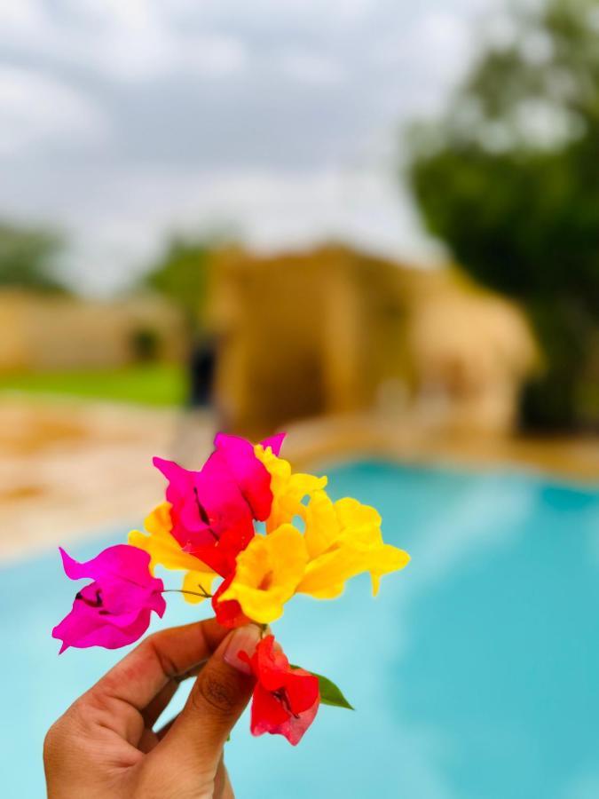 Hotel Golden Safari Jaisalmer 자이살메르 외부 사진